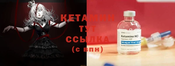 дмт Пересвет